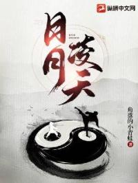 日月凌天封面