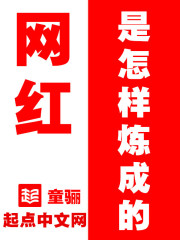 网红是怎样炼成的封面