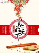 冷宫弃妃：凤临天下封面