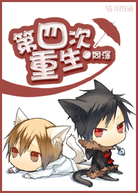 第四次重生封面