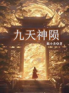 九天神陨封面