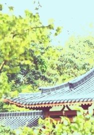 一代倾城挽山河封面