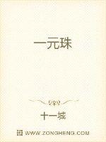 一元珠封面