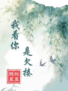 我看你,是欠揍封面