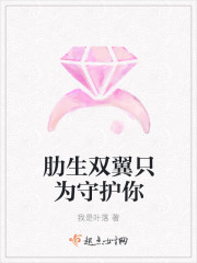 肋生双翼只为守护你封面