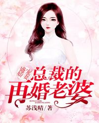 盛宠娇妻：总裁的再婚老婆封面
