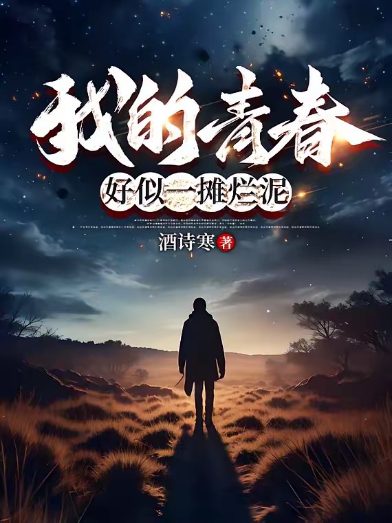 我的青春，好似一摊烂泥封面