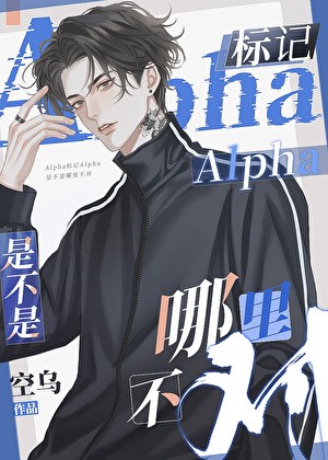Alpha标记Alpha是不是哪里不对封面