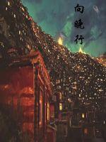 向晚行封面