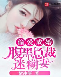 偷爱成婚:腹黑总裁迷糊妻封面