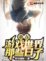 我在游戏世界那些日子封面