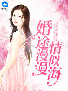 婚途漫漫情似海封面