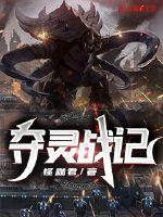 夺灵战记封面