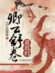 卿云舒卷意迟归封面