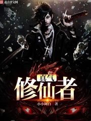 真气修仙者封面