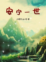 安宁一世封面