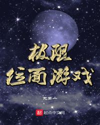 极限位面游戏封面