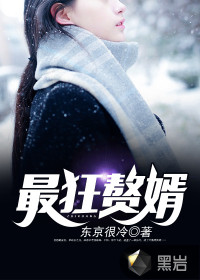 最狂赘婿封面