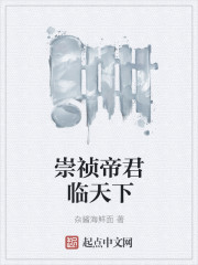 崇祯帝君临天下封面