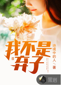 我不是弃子封面