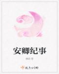 安卿纪事封面