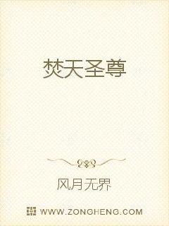 焚天圣尊封面