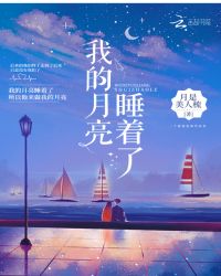 我的月亮睡着了封面
