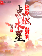 无敌从点燃木星开始封面