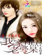 一爱成痴:我家老婆有点呆封面