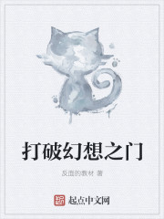 幻想之门被打破封面