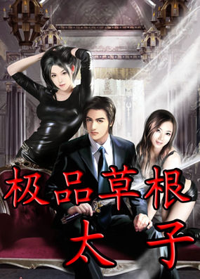 极品草根太子封面