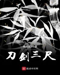 刀剑三尺封面