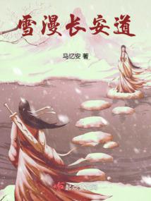 雪漫长安道封面