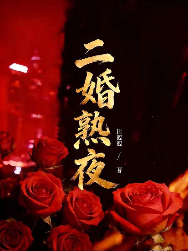 二婚的秘密封面