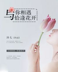 与你相遇恰逢花开封面