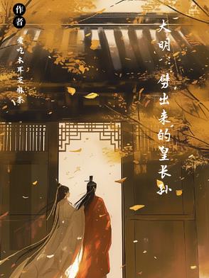 大明：劈出来的皇长孙封面