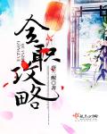 全职攻略封面