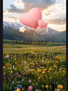 什么？反派要和我结婚？封面