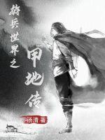 游兵世界之甲地传封面