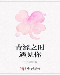 青涩之时遇见你封面