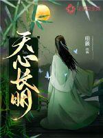 天心长明封面