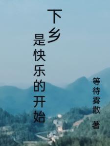 下乡后,日子怎么舒服怎么过封面