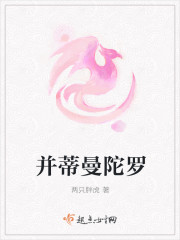 并蒂曼陀罗封面