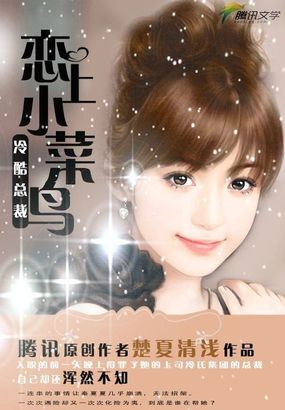 冷酷总裁：恋上小菜鸟封面