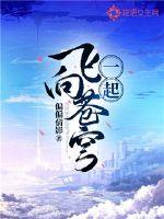 一起飞向苍穹封面