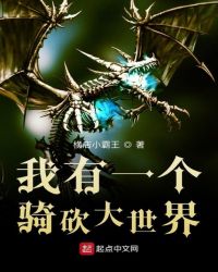 我有一个骑砍大世界封面