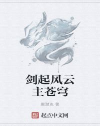 剑起风云主苍穹封面