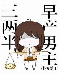 早产男主三两半封面