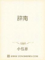 辞南封面