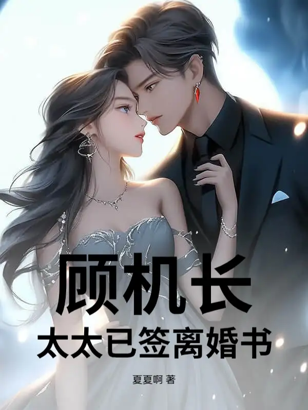 顾机长，太太已签离婚书封面